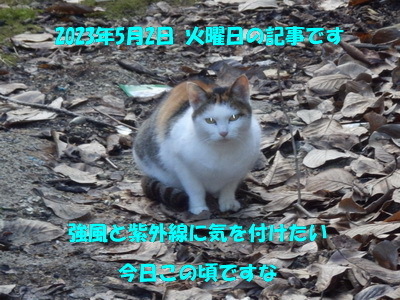 230502a.jpg