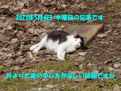 230504a.jpg