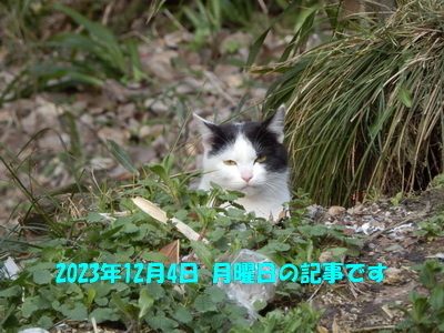 231204a.jpg