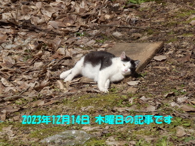 231214a.jpg