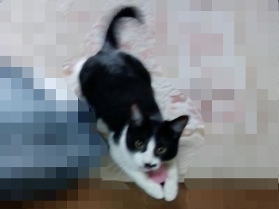240131b.jpg